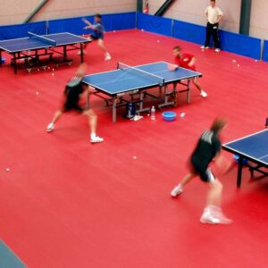 Taraflex® Table Tennis